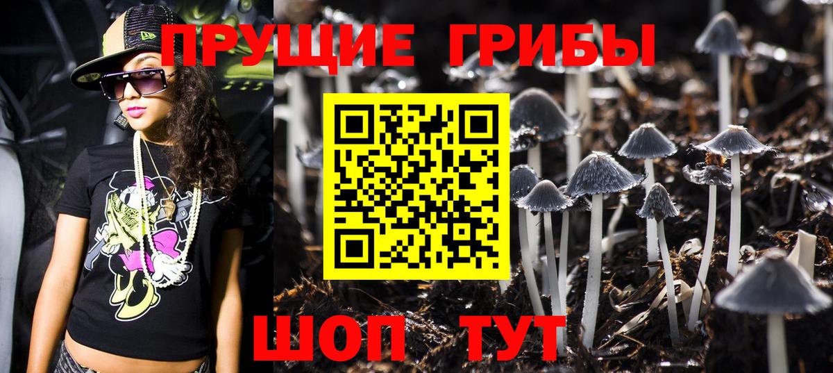 как найти закладки  Борзя  Псилоцибиновые грибы Magic Shrooms  Псилоцибиновые грибы Psilocybine cubensis 